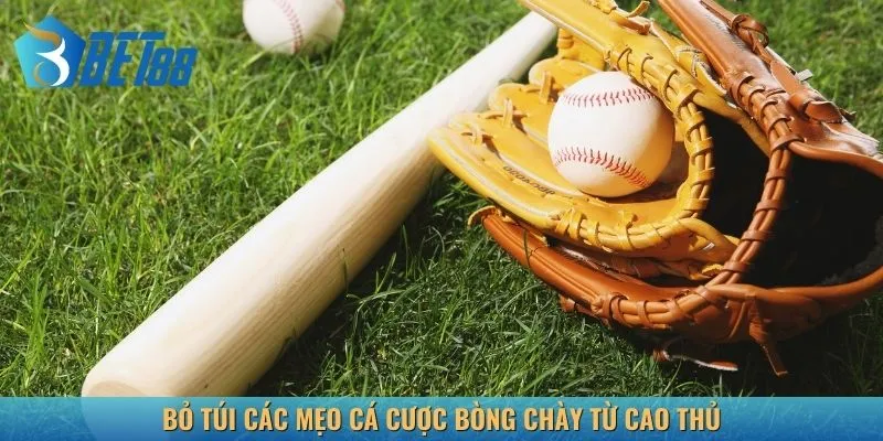 Bỏ túi các mẹo cá cược bòng chày từ cao thủ