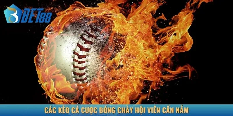 Các kèo cá cược bóng chày hội viên cần nắm