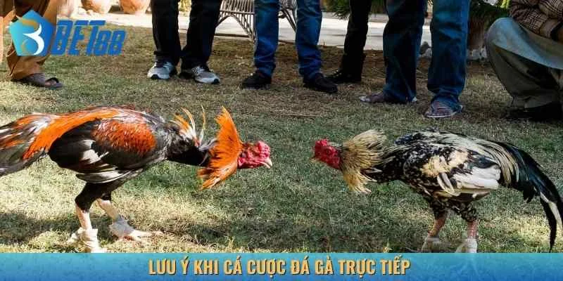 Vài điều cần lưu ý khi bắt đầu vào kèo