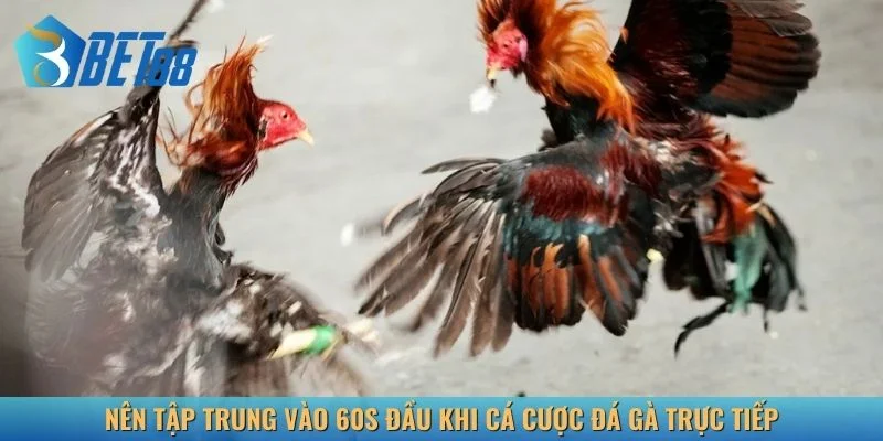 Cần tập trung cao độ trong 60 giây đầu