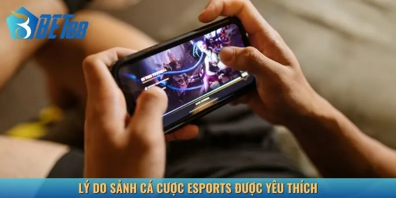 Lý do sảnh cá cược Esports được yêu thích