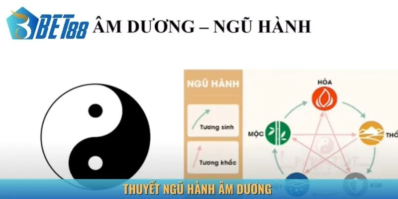 Tổng quan đôi điều thuyết ngũ hành âm dương
