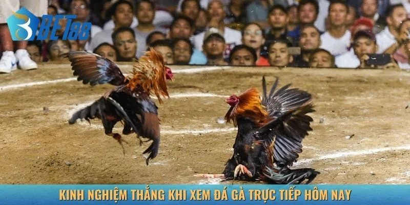 Mẹo hay chiến thắng liên tục khi xem