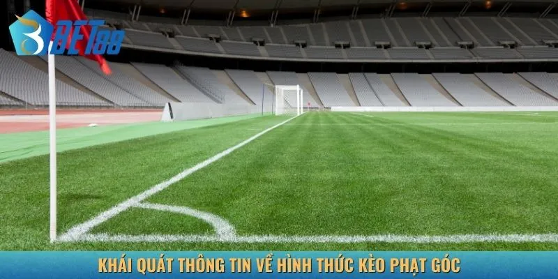 Khái quát thông tin về hình thức kèo phạt góc