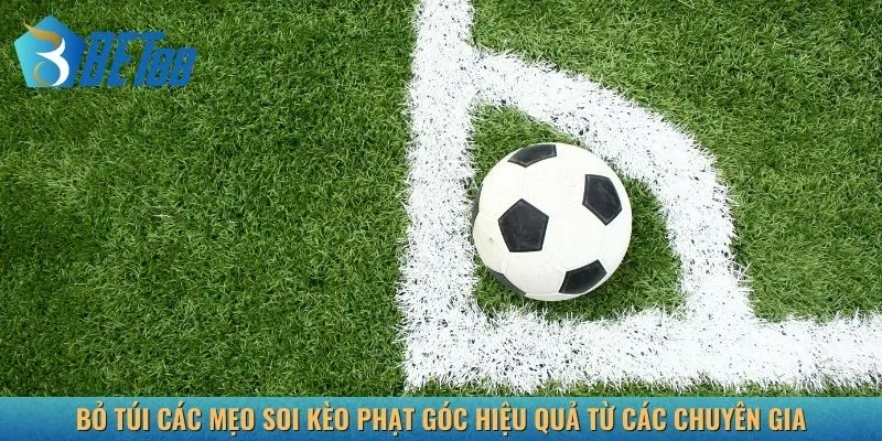 Bỏ túi các mẹo soi kèo phạt góc hiệu quả từ các chuyên gia
