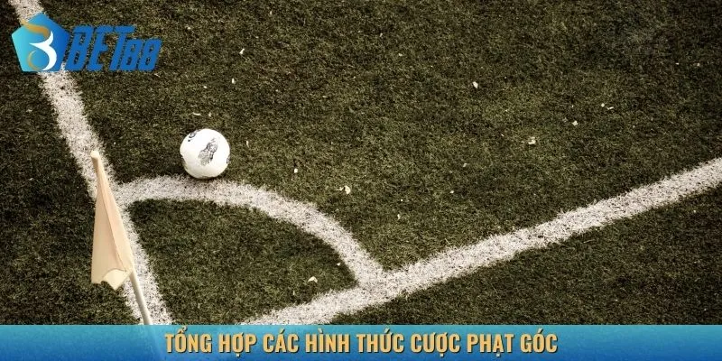 Tổng hợp các hình thức cược phạt góc