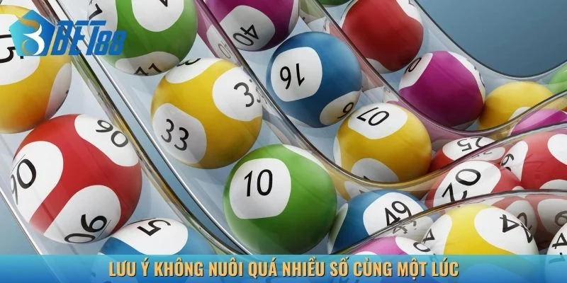 Không nên nuôi quá nhiều số cùng một lúc
