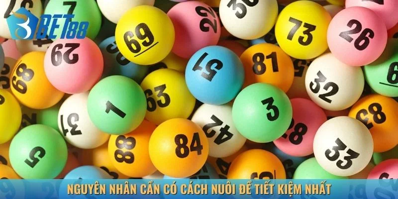 Nguyên nhân cần có cách nuôi đề tiết kiệm nhất