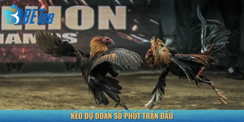 Dự đoán số phút kết thúc trận đá