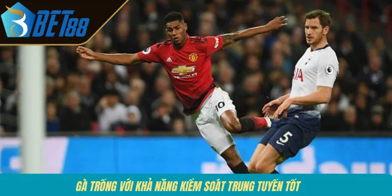 Gà Trống với khả năng kiểm soát trung tuyến tốt 