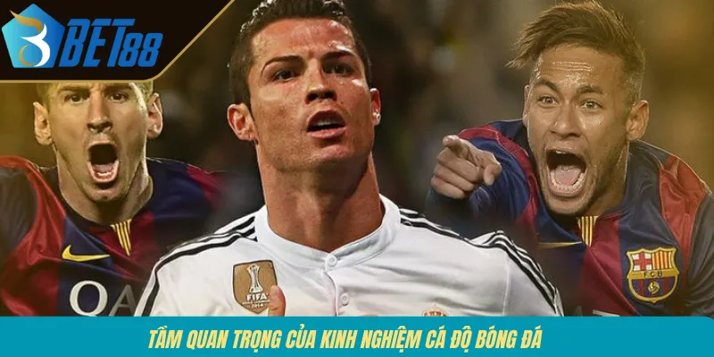 Tầm quan trọng của kinh nghiệm cá độ bóng đá