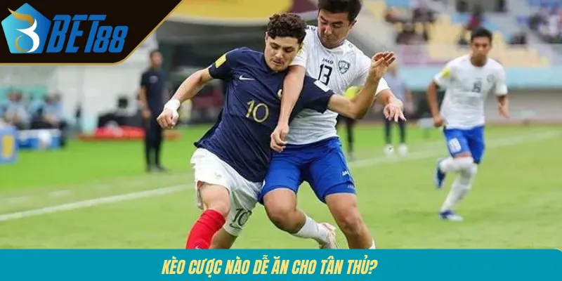 Kèo cược nào dễ ăn cho tân thủ? 